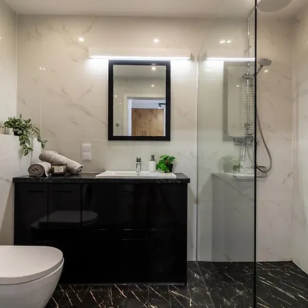 Near Sky Tower Free Parking For 2 Cars Apartament